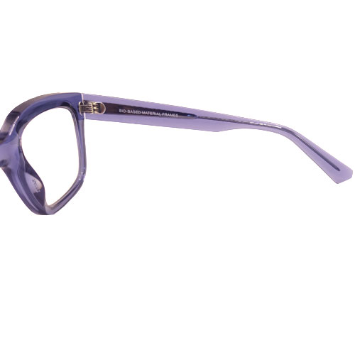 Ray Ban Eyewear Frames-04